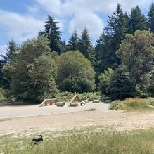 Westcrest Park Off-Leash Area photo 1